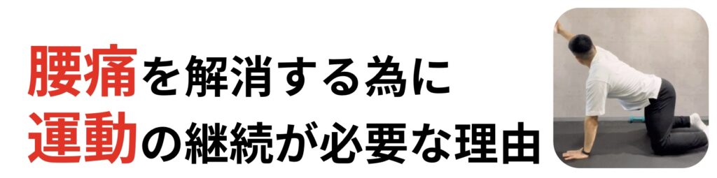 腰痛を解消する為に運動の継続が必要な理由